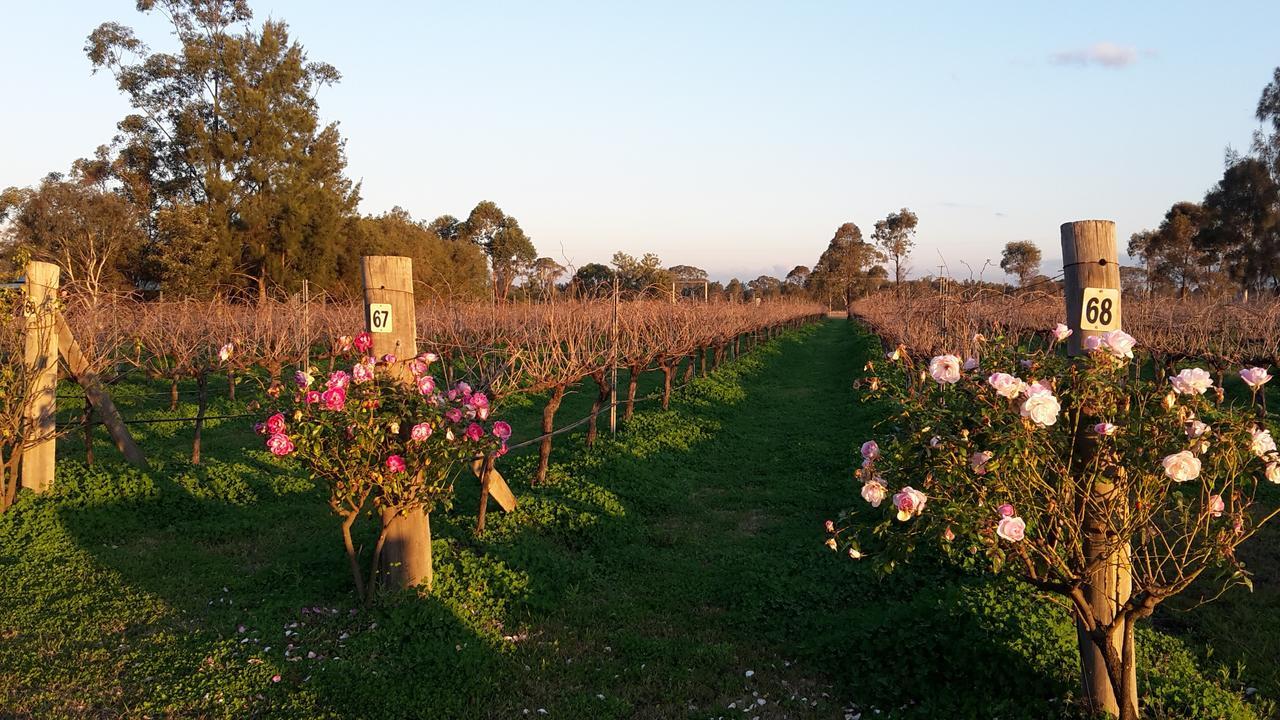 Emma'S Cottage Vineyard لوفديل المظهر الخارجي الصورة