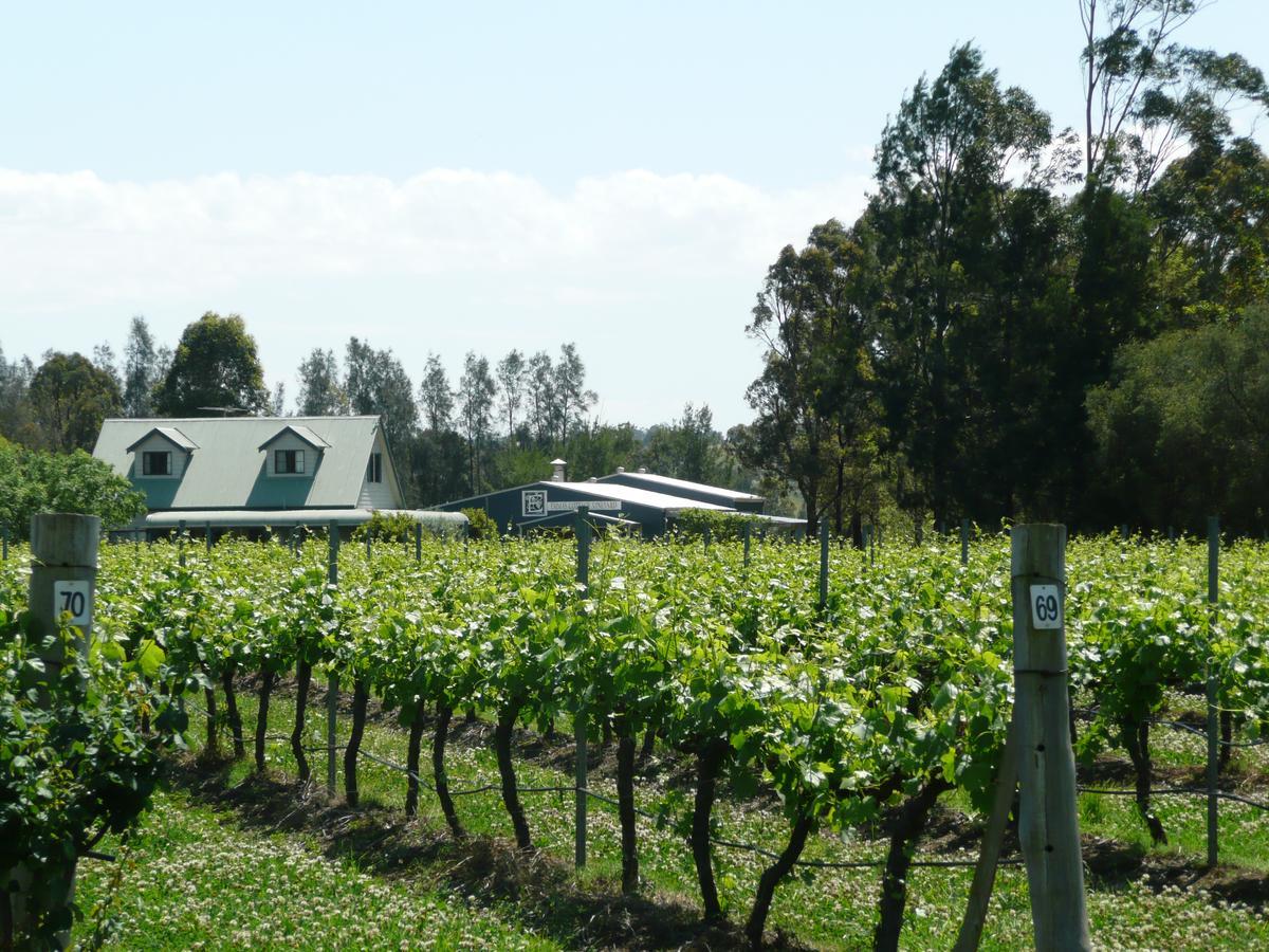 Emma'S Cottage Vineyard لوفديل المظهر الخارجي الصورة