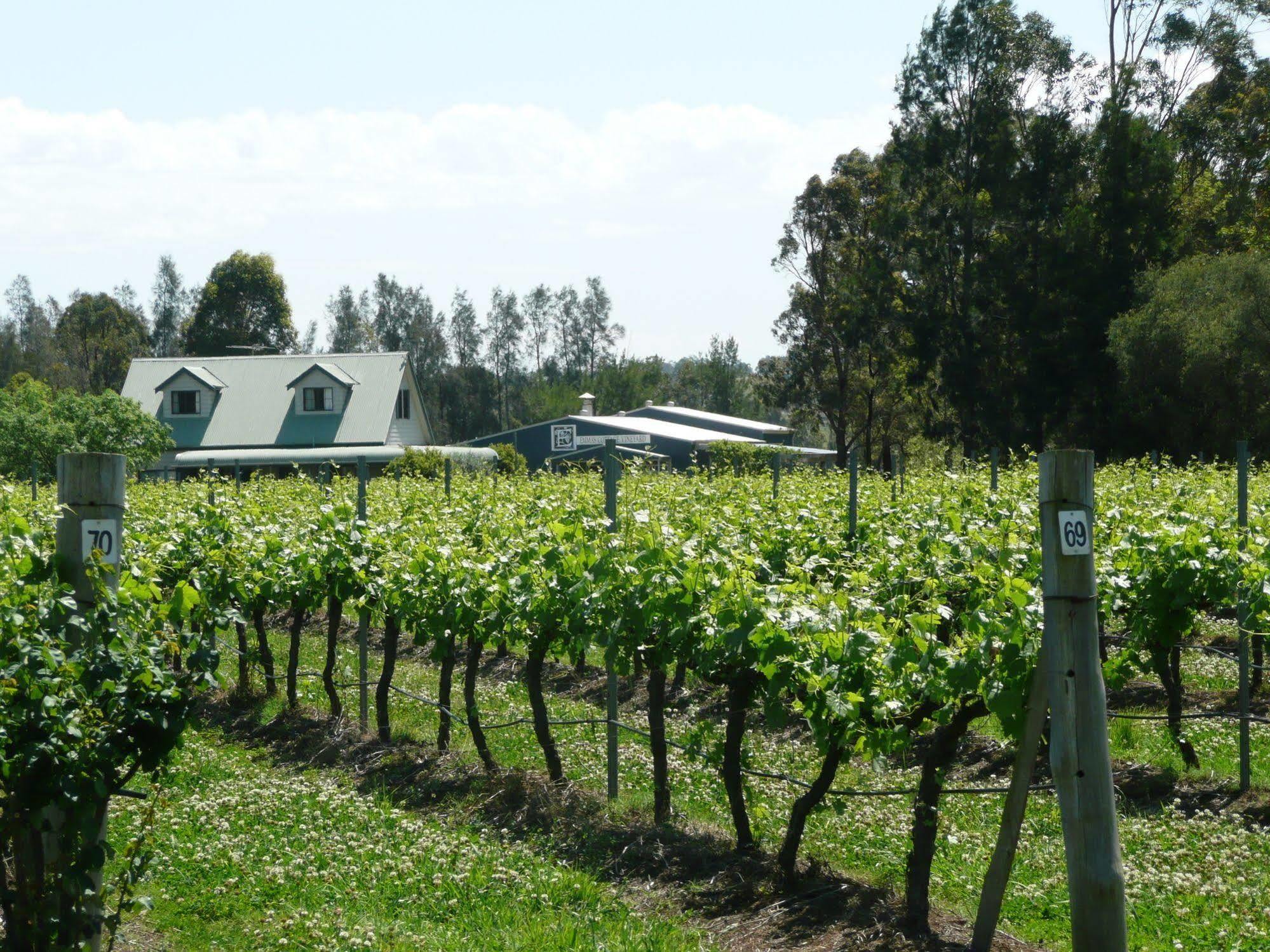 Emma'S Cottage Vineyard لوفديل المظهر الخارجي الصورة