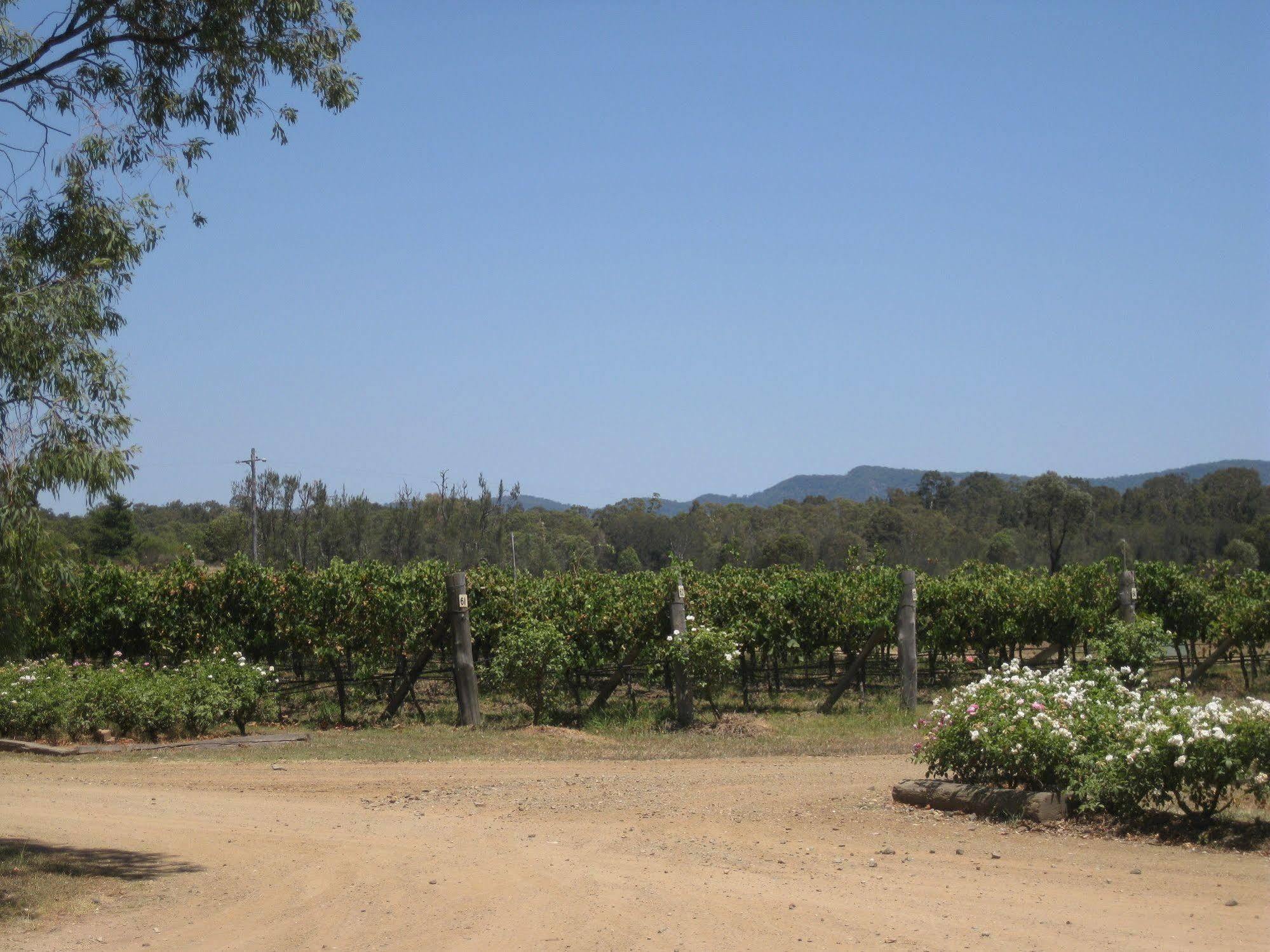 Emma'S Cottage Vineyard لوفديل المظهر الخارجي الصورة